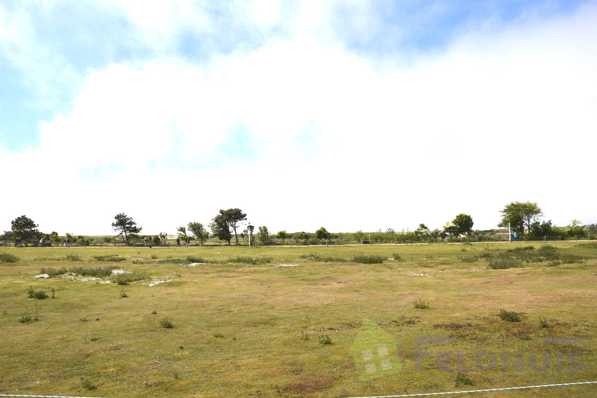 Blick auf die Dünen