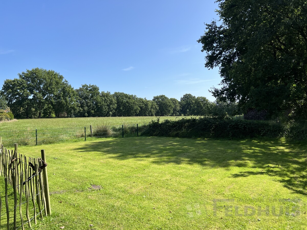 Garten Bild 3