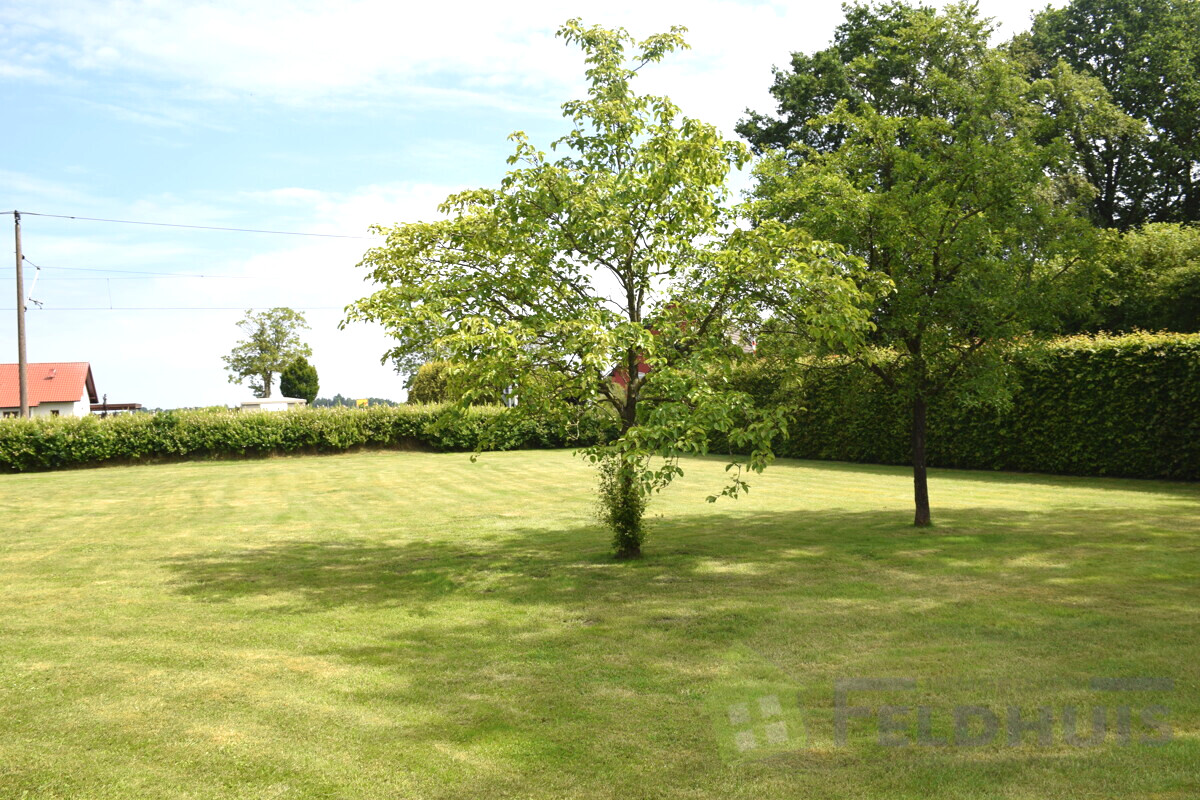 Garten Bild 2