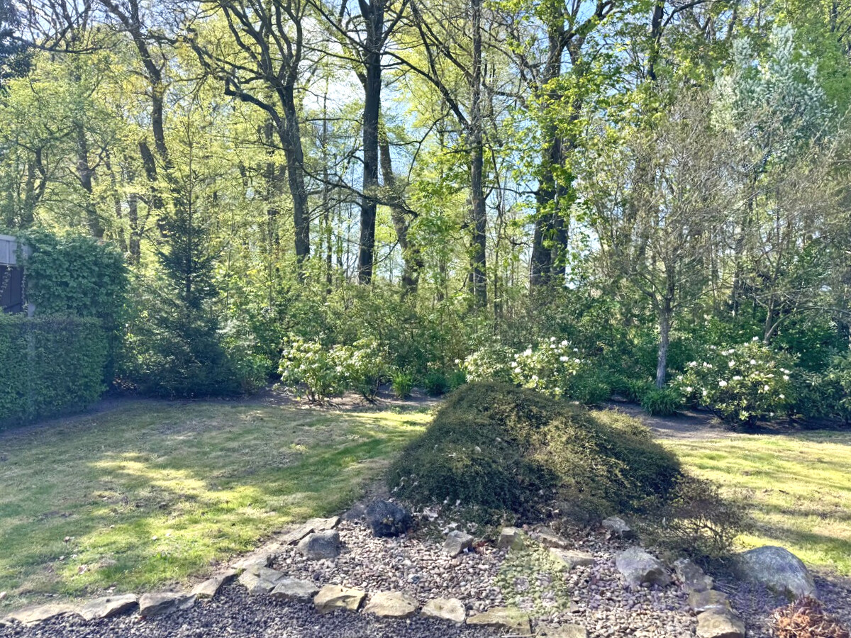 Gemeinschaftlicher Garten Bild 2