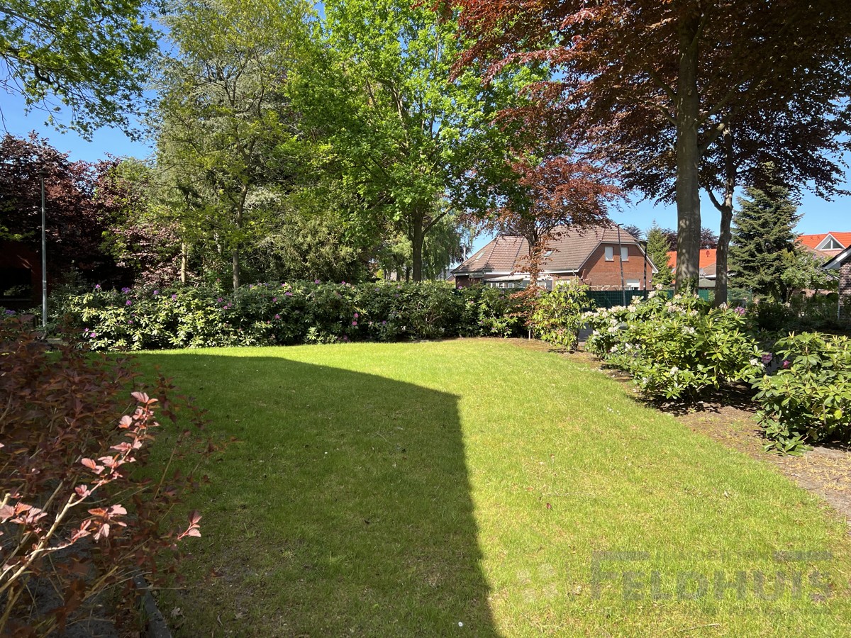 Garten Bild 2
