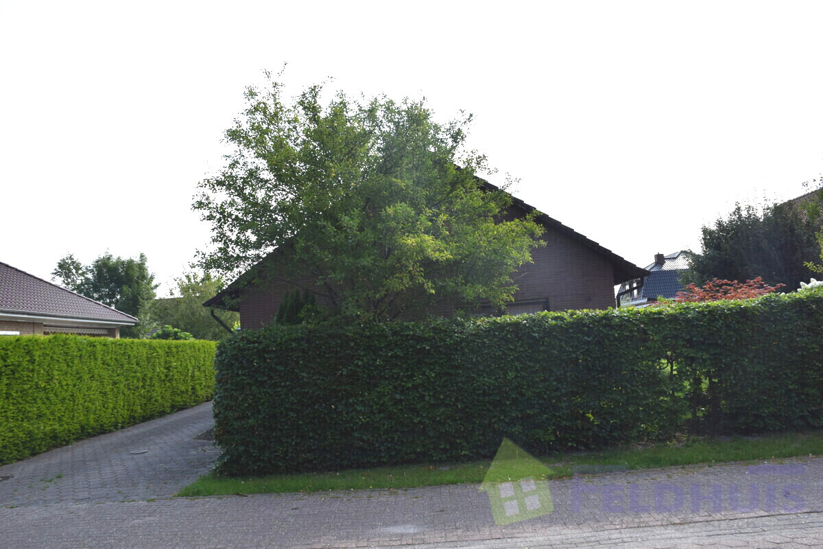 Vorderansicht