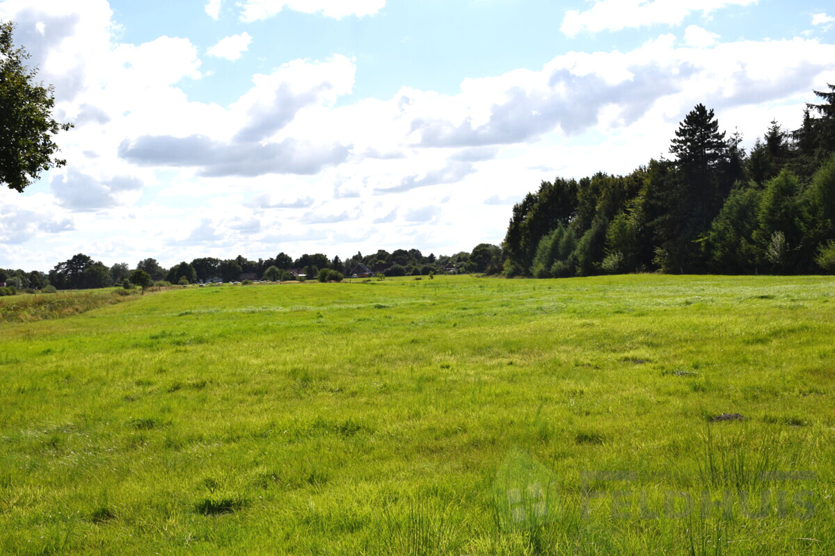 Weideland