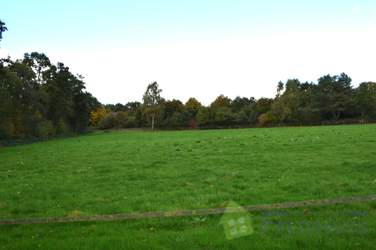 Rückwärtig unverbau t