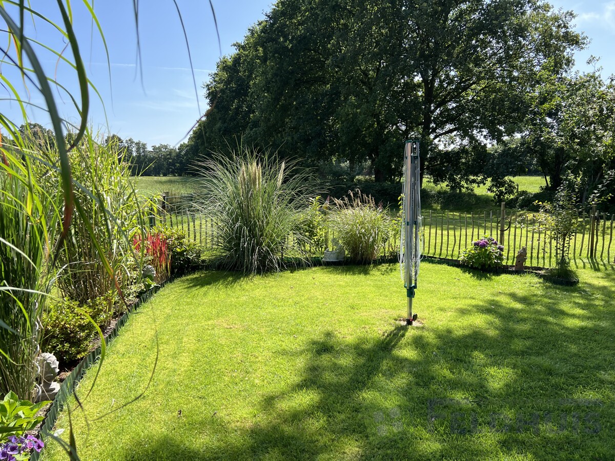 Garten Bild 2