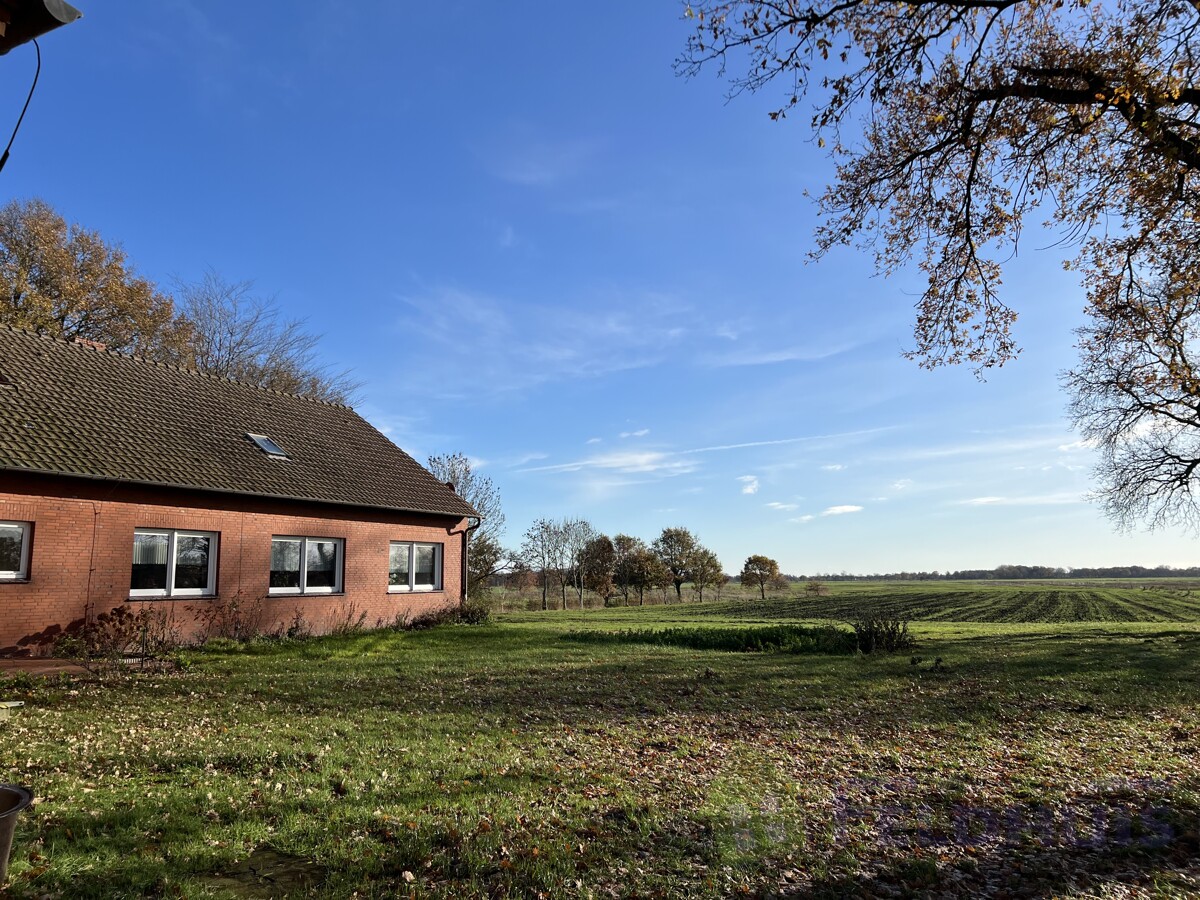 Seitenansicht Bild 2