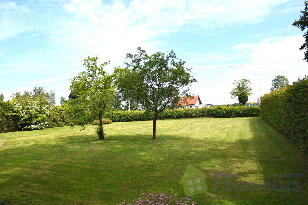 Garten Bild 1