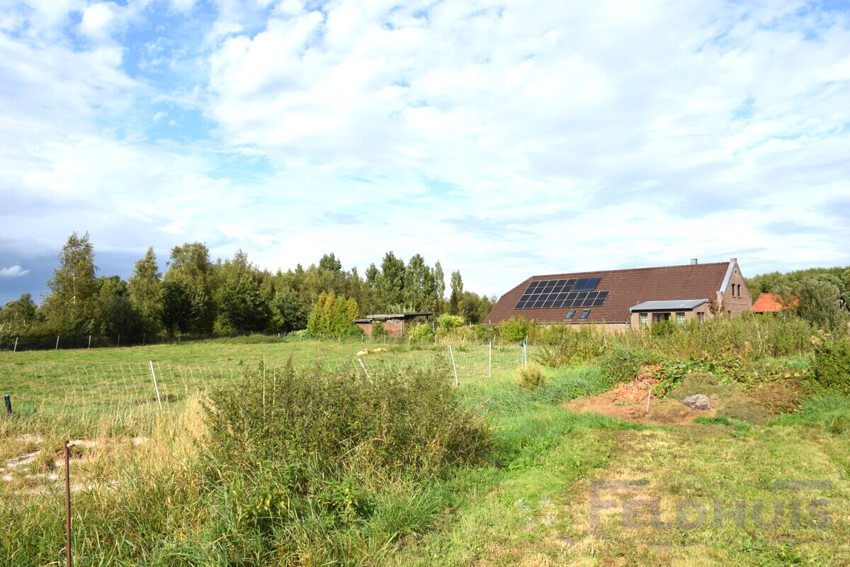 Weideland Bild 3