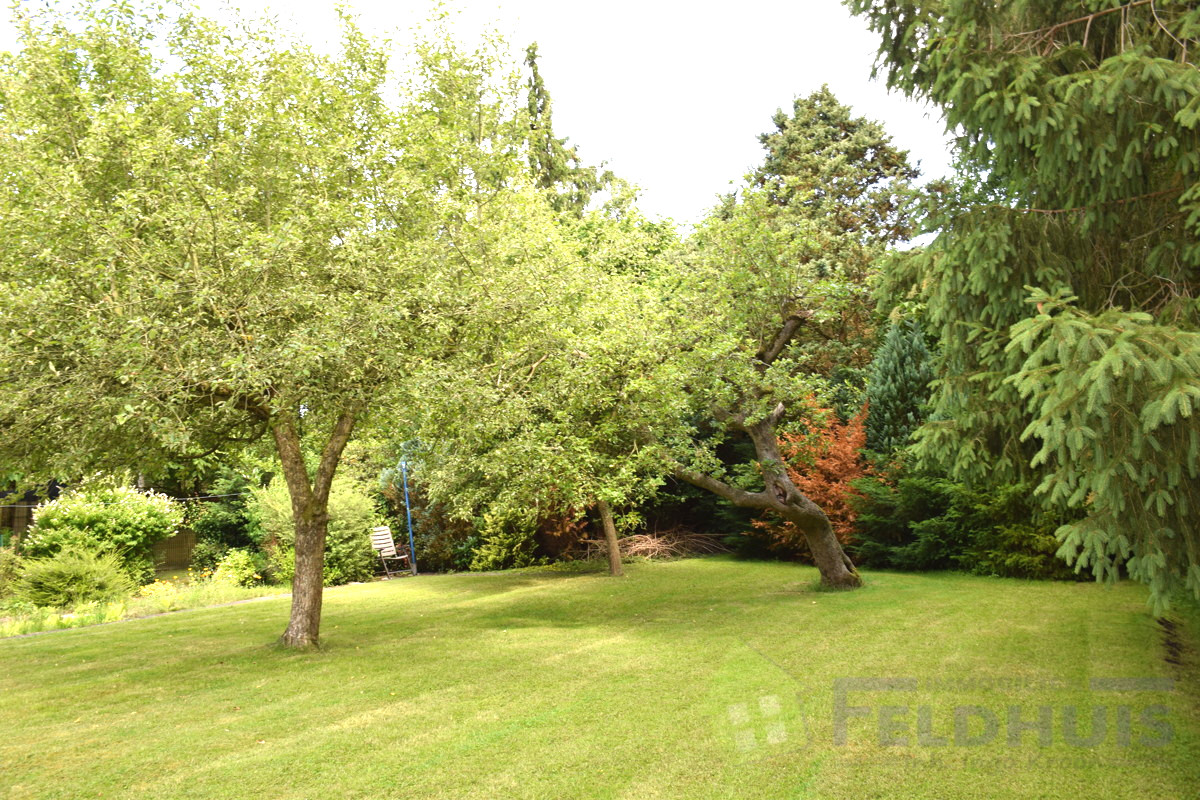Garten Bild 1