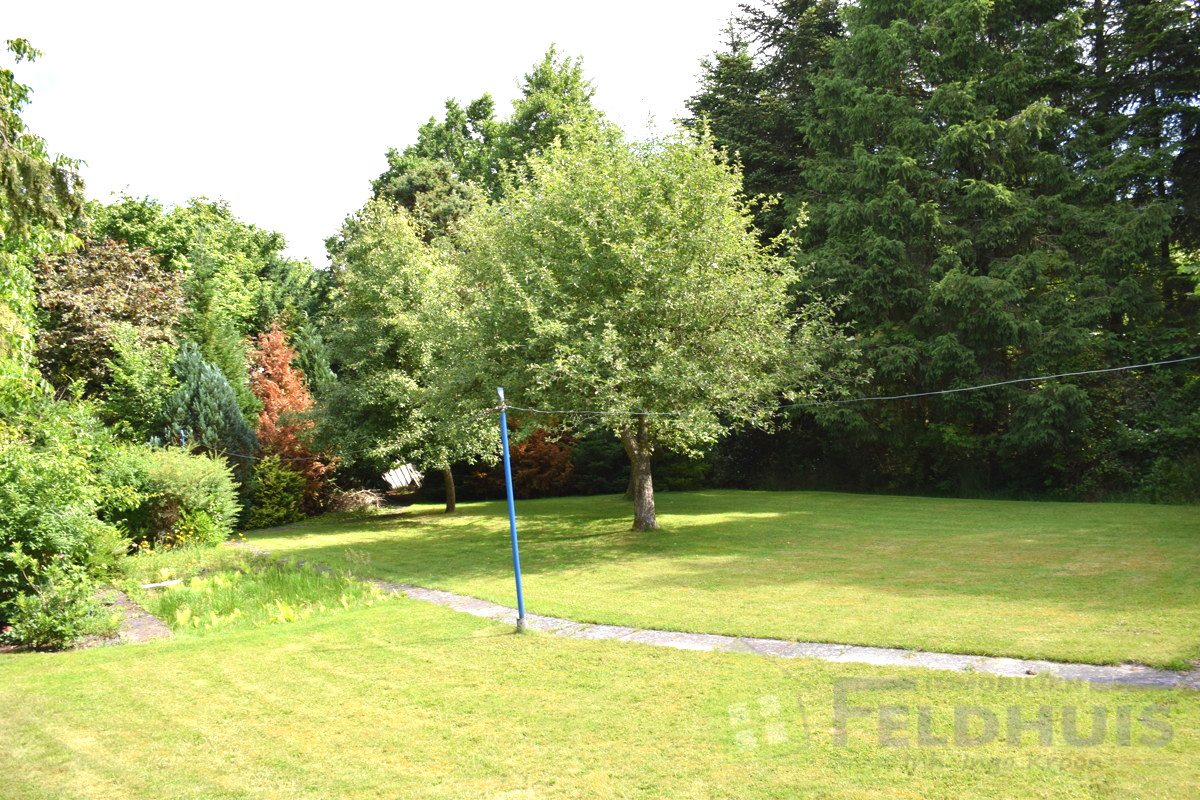 Garten Bild 2